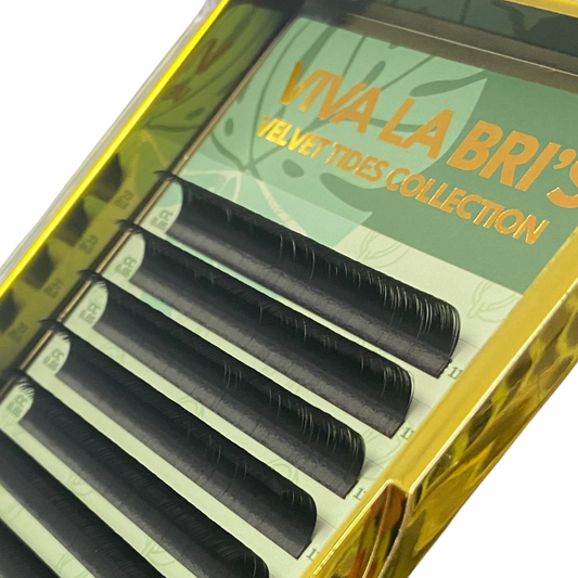 Bottom Lash Tray